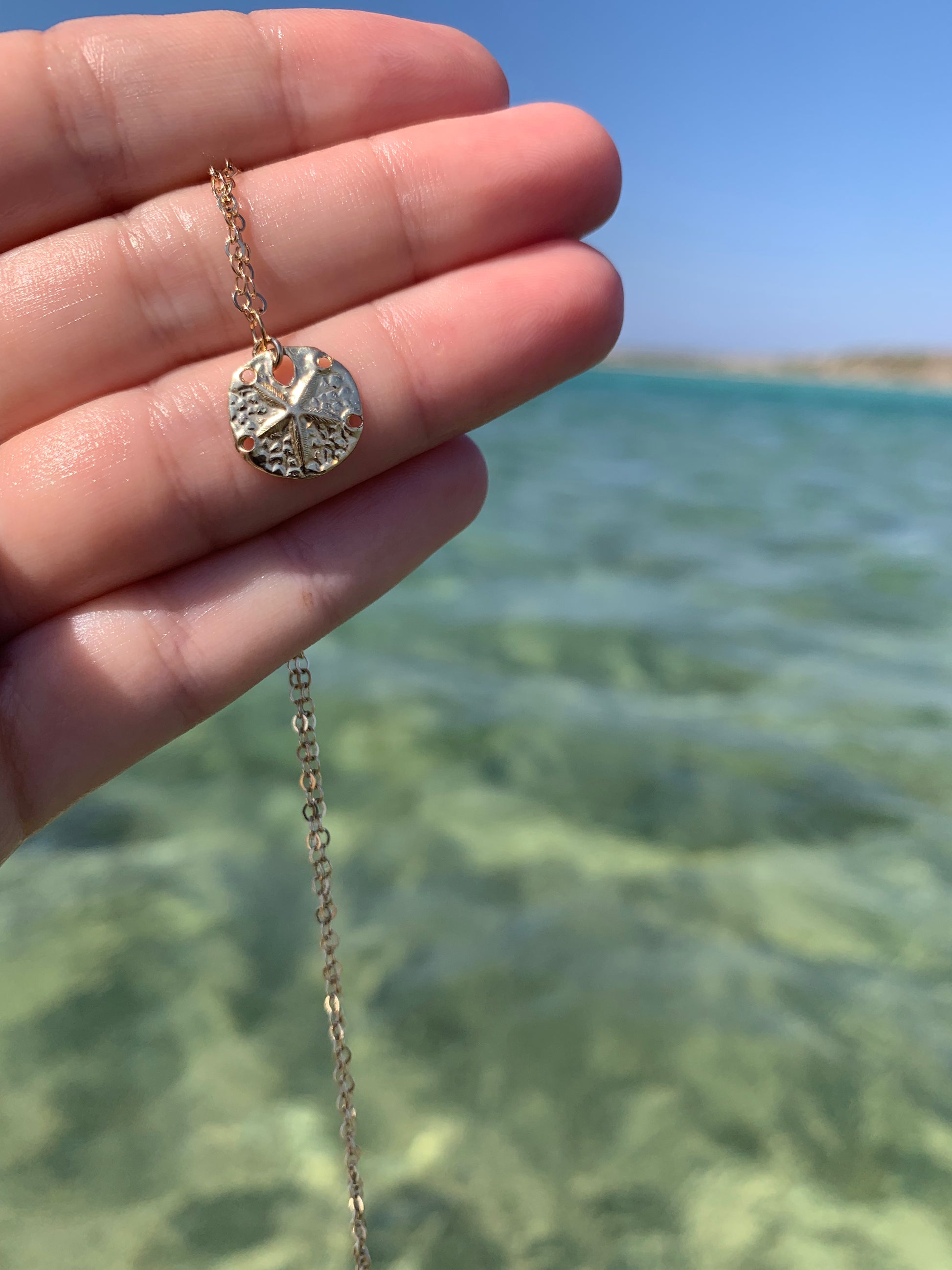 Dainty Gold Sand Dollar Charm Necklace | Nosara