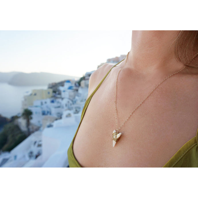 The Chains by Lauren layering shark tooth necklace.  Made with gold fill chain and a real shark tooth. Handmade. Chains by Lauren